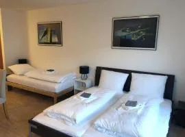 Ferienwohnung bei Würzburg