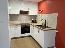appartement cosy à 100m de la mer !