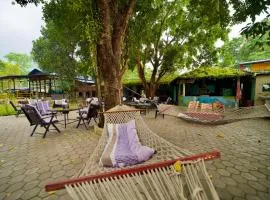 Chitwan Gaida Lodge - Animal Lovers & Birdwatchers Paradise