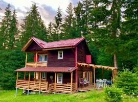 Cosy wooden house in the heart of Apuseni.