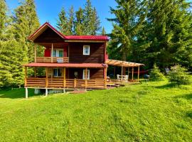 Cosy wooden house in the heart of Apuseni., villa en Beliş