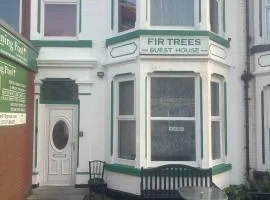 Fir Trees