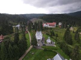 Hotel Iadolina, hotel con estacionamiento en Stana de Vale
