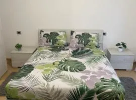 Palmibayhome