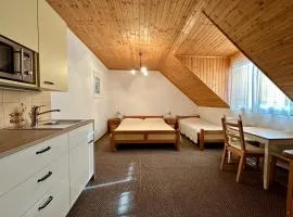 Apartmány v Müllerovom dome