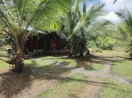 La Cabaña Río Celeste