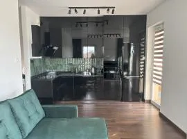 Nowoczesny apartament Pomorska Park, świetny dojazd, blisko centrum, UŁ, CKD UMed, Lumumbowo