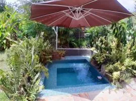 Whole family home with plunge pool