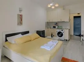 Cozy Studio Apartments