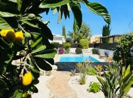 Villa strelitzia