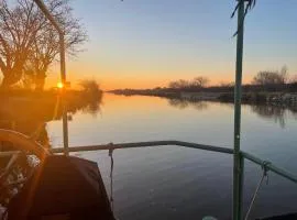 La cabane a fleur d eau au cœur de la Camargue