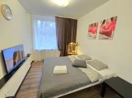 S4 Studio Apartment