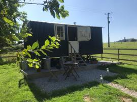 Phoenix Farm Shepherds Hut,Minions, Cornwall, Hotel in Liskeard