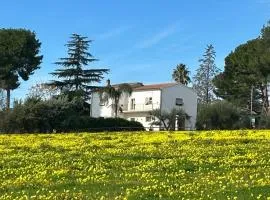 Masseria Novelli