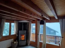 Chalet au cœur de la station
