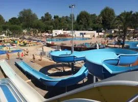 BONNES VACANCES sur le CAMPING LE BOSC
