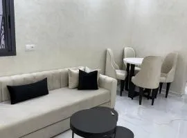 Luxury Renovated Apartment