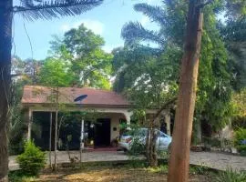 Rio safari house
