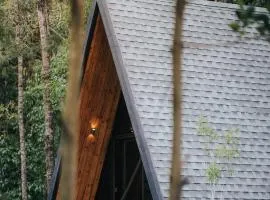 Birds Eye Estate- A frame