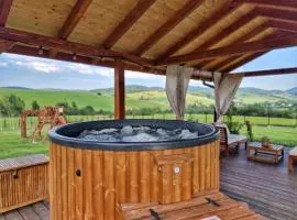 Lackowa Chill and Rest dom z balią Krynica Zdrój