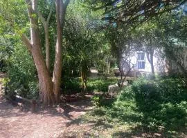 La Cabane Garden Cottage