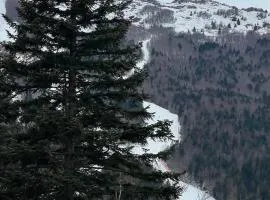 Inserrata Abetone in Tuscany