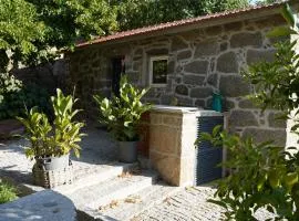 Linden Studio at Terrus Winery