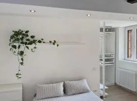 San Raffaele Suite