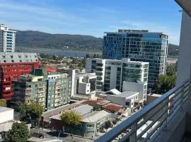 Maravilloso Departamento En Centro De Concepción