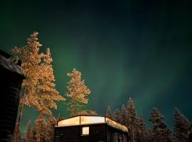 Levi Aurora Igloo