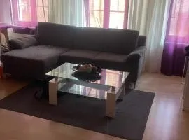 Como apartamento en el centro de st Gallen