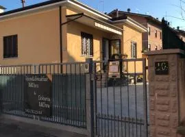 R&B MiDora Montale