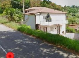 Clorofilla - Country House