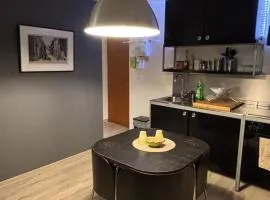 Studio 33, centre-ville, proche gare