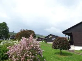 Erika