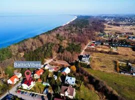 BalticVibes