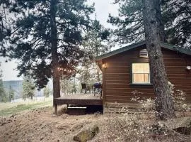 Cozy Cabin with Coeur d'Alene Lake views