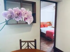 Lindo departamento en Miraflores Parque Kennedy