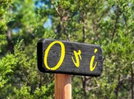 Ori Treehouse Lux Hot tub Fredericksburg Tesla EV