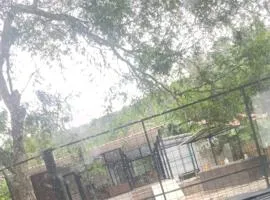 Casa del Zapallo