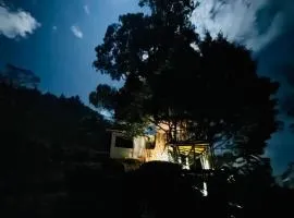 AVA tree house