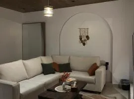 Luxury Apartment