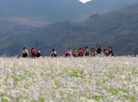 Vieille Maison de Ma Lé
