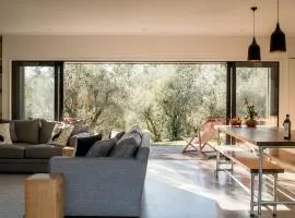The Olive House