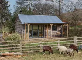 Beech Tree Cabin