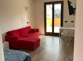 MARIPOSA - la farfalla