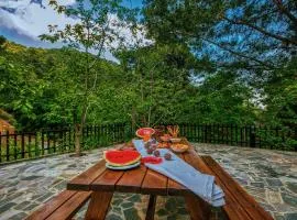 Amazing Villa in Pano Platres Cyprus