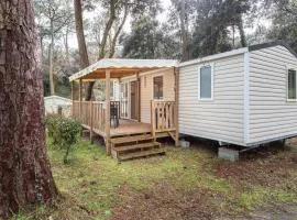 Mobil Home 151