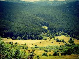 Next to Forest, hostel v destinaci Agara