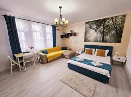 Lovely Studio in Downtown Bucharest